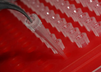 Biotechnologies en Provence : la région s'exporte à l'international