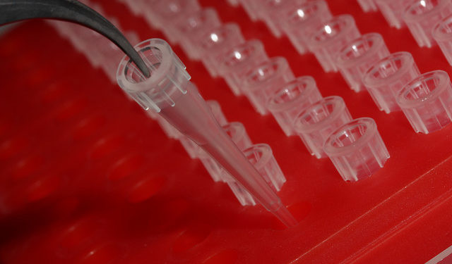 Biotechnologies en Provence : la région s'exporte à l'international