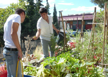 Un potager sur le toit de la friche de la belle de mai