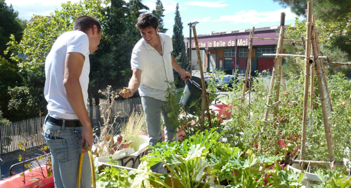 Un potager sur le toit de la friche de la belle de mai