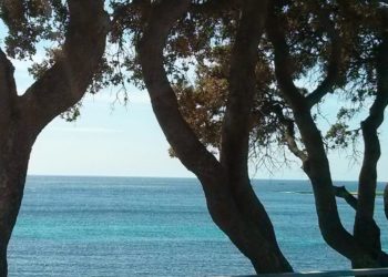 Fait-il bon vivre en Paca ? La région classée 13e sur 22 par l'OCDE