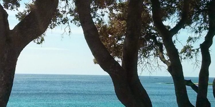 Fait-il bon vivre en Paca ? La région classée 13e sur 22 par l'OCDE