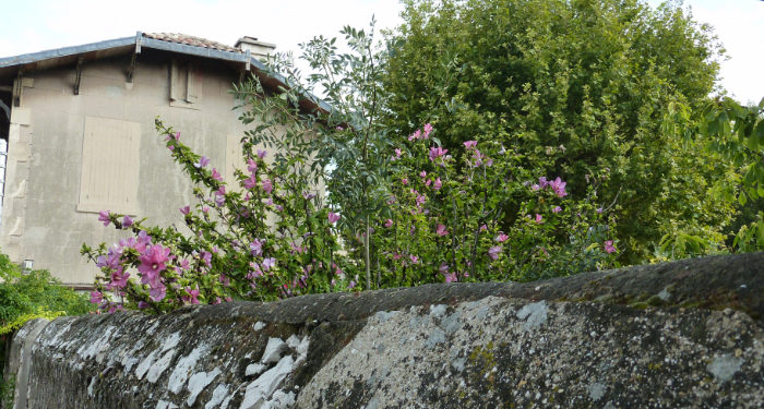 La maison des rocailleurs à Marignane