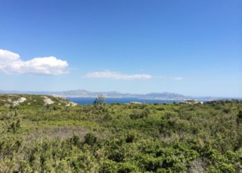 Fort mistral lundi 1er septembre : attention aux feux de forêts