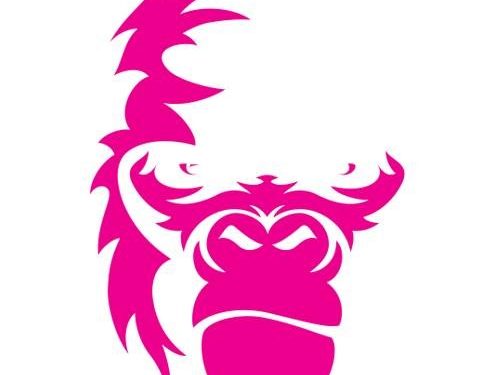 InsightCom, nouvelle agence globale sur la place montpelliéraine