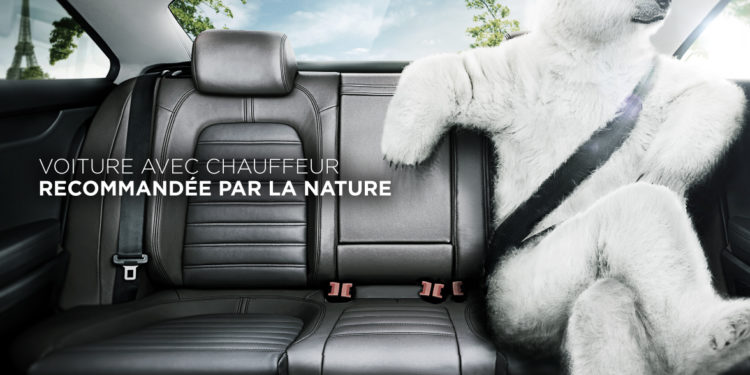 Blue egg affiche Greentomatocar