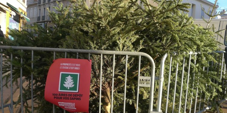 La collecte des sapins de Noël élargie à toutes les communes du Pays d’Aubagne