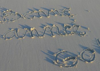 Bonne année à tous !