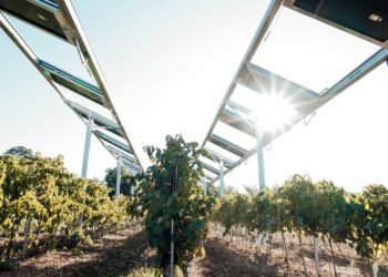 Ombrea arrive à maturité au bout de cinq ans d'exitence et symbolise les cleantech provençales qui commencent à atteindre une taille significative (Crédit DR)