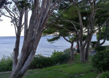 Dans le parc suspendu au-dessus de la mer de la Fondation Camargo à cassis (Photo archives Gomet').