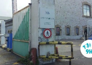 [Flash info 9h] Les "St Louis Sucre" veulent prendre exemple sur les ex-Fralib