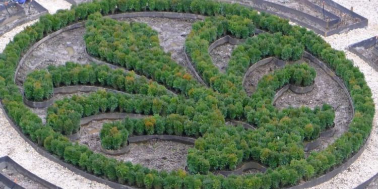[Exposition] Une collection princière bientôt à l'Hôtel de Caumont à Aix-en-Provence