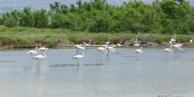 Étang de Berre : la candidature au patrimoine de l'Unesco s'organise