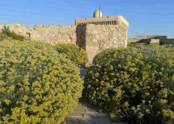 [Agenda] Rentrée bucolique au MuCEM le 11 septembre