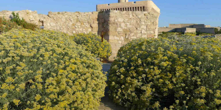 Une soirée exceptionnelle dans le jardin du Mucem