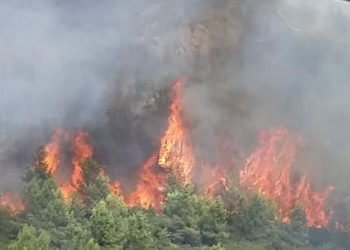  #MoiJeProtège, la campagne de sensibilisation sur Twitter