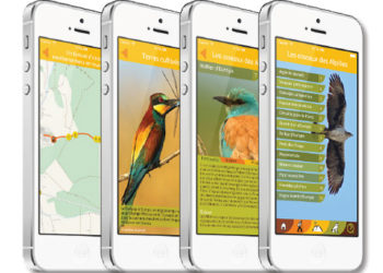 Une appli pour le Parc des Alpilles