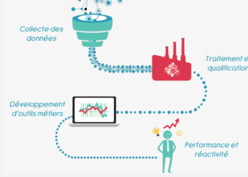 Trois jeunes pousses éclosent de l’incubateur de la Belle de Mai