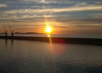 Soit dit en passant : la belle moisson de la semaine d’Hervé Nedelec