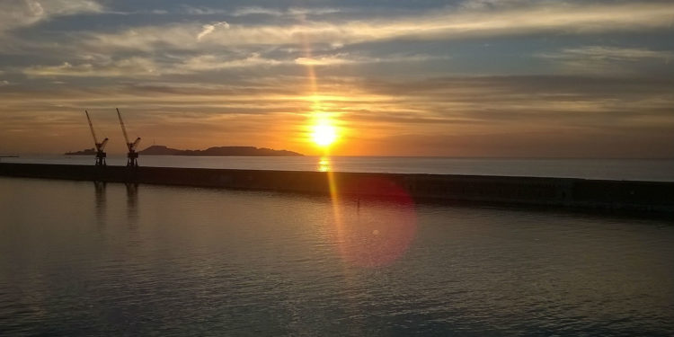 Soit dit en passant : la belle moisson de la semaine d’Hervé Nedelec