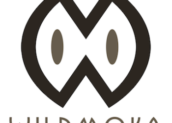 Wildmoka lève 2 M€ et s’exporte aux States