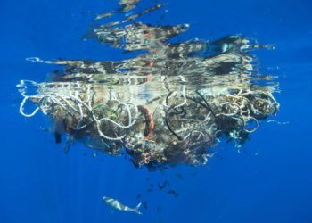 plastiques eau méditerranée