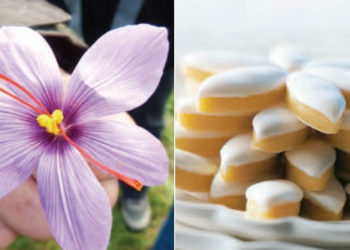 Indus’3 Days : trois jours de tourisme industriel en Pays d’Aix