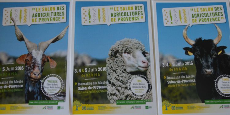 Le premier salon des agricultures de Provence, une grande fête début juin