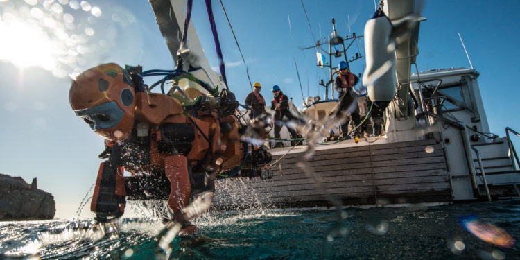 ocean one plongee toulon