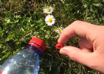 34. Clip It : le jeu éducatif médaille de bronze au concours Lépine