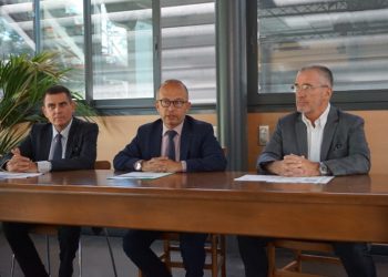 Zac de la Capelette : bientôt une « prairie rustique » pour faire patienter les habitants