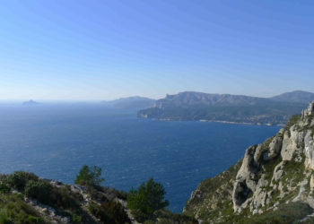 baie cassis