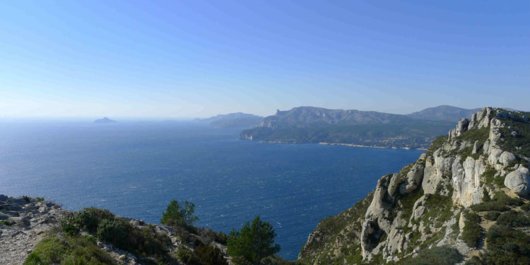 baie cassis