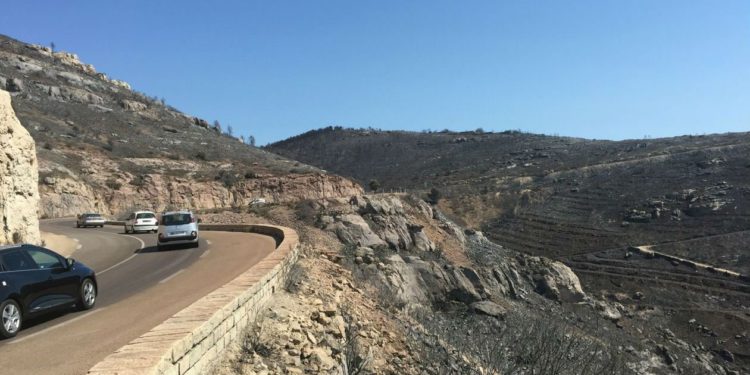 Accès interdit aux 21 massifs forestiers du département
