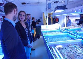 Coral Biome veut combattre le cancer avec la pharmacopée extraordinaire des coraux