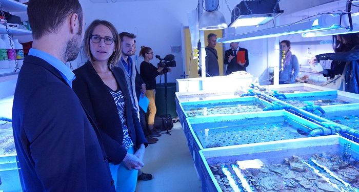 Région Paca : lancement de l'Assemblée maritime pour la croissance régionale et l'environnement