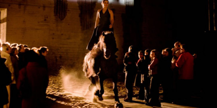 Entre ville et nature, le Théâtre du Centaure a trouvé sa place