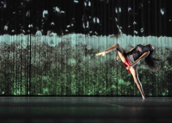 Novembre, un mois très Danse