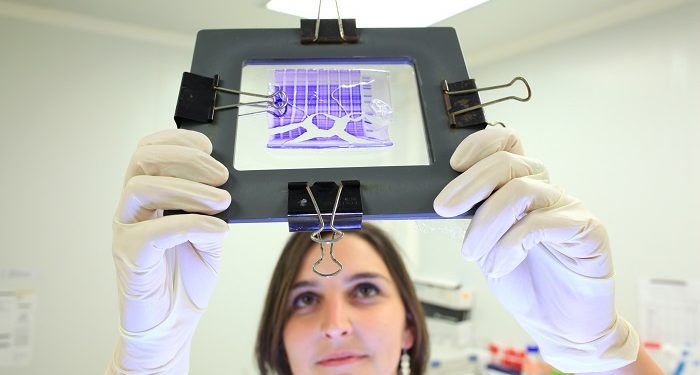 Les avancées d’Innate Pharma, une chercheuse marseillaise primée par l’Inserm, Téléthon