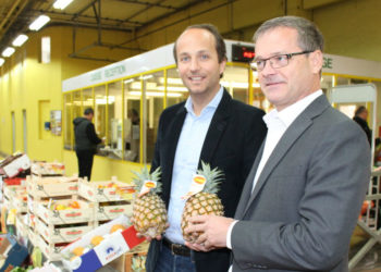 canavese ananas