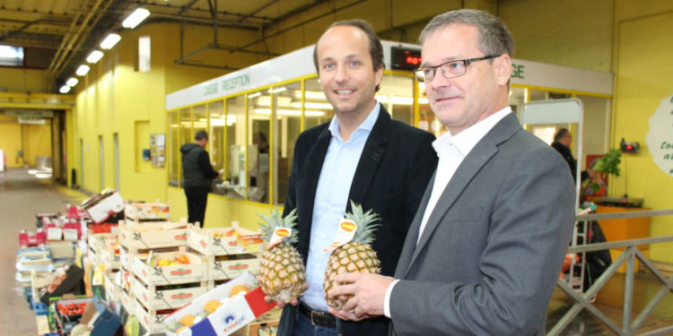 canavese ananas