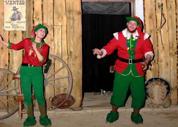 C’est bientôt Noël, notre sélection de spectacles dans la métropole (2/2)