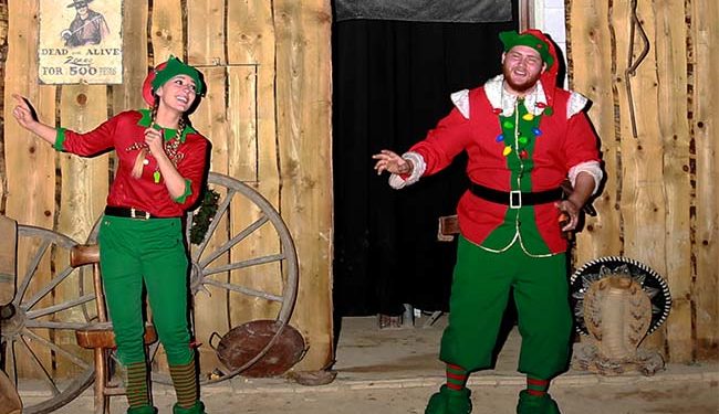 C’est bientôt Noël, notre sélection de spectacles dans la métropole (2/2)