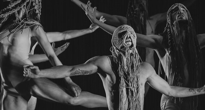 BNM Fest' : spectacles et soirée DJ pour un final très attendu ce samedi 17 décembre