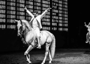 Début de la Biennale des arts du cirque, la 7e Vague déferle au théâtre du Centaure