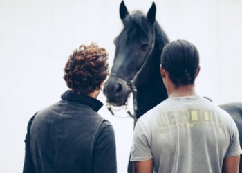 Le théâtre du Centaure projette son film Baumettes sur le mur de la prison