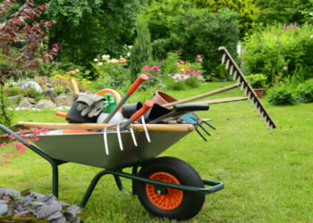 La start-up spécialisée dans le jardinage Gaarden (Aix) lève 800 000 euros