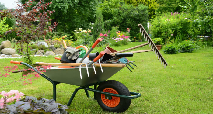 La start-up spécialisée dans le jardinage Gaarden (Aix) lève 800 000 euros