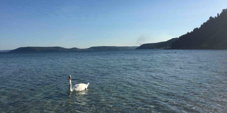 L'étang de Berre du côté d'Istres. Photo archives Gomet'