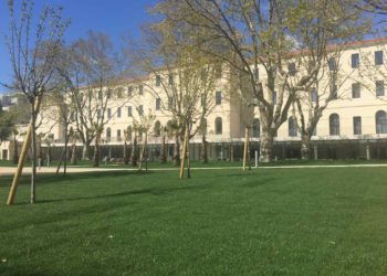 Alex Nicola de Villages club du soleil : « 3 ans pour atteindre la rentabilité à Belle de Mai »